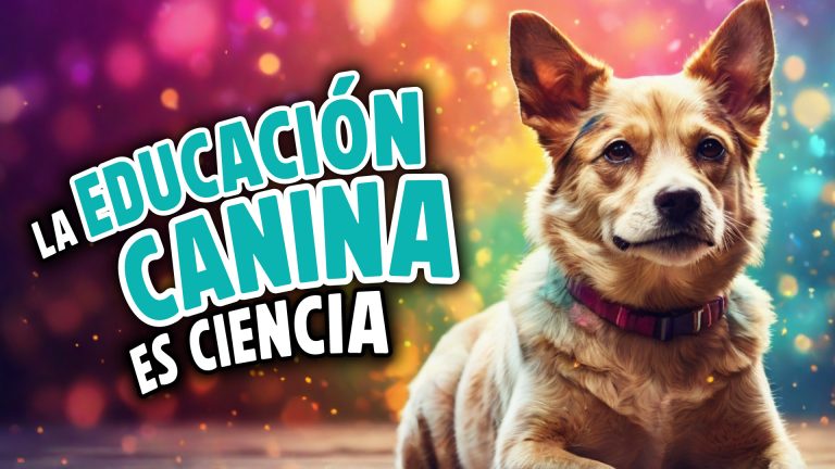 La educación canina es cienca