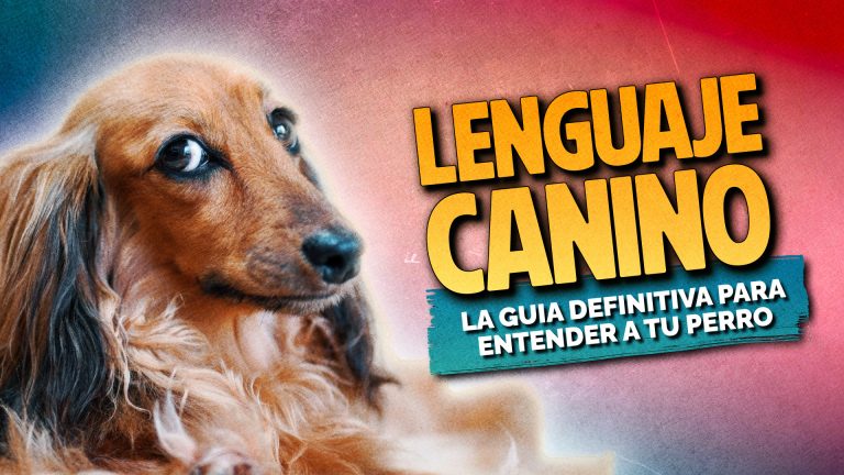 Lenguaje canino