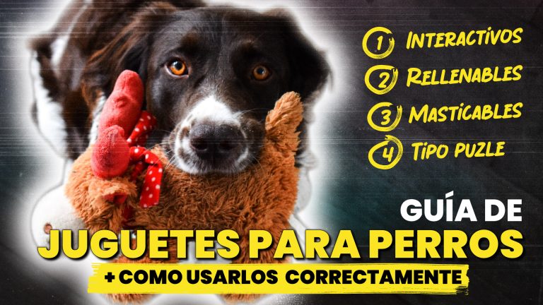 Juguetes para perros