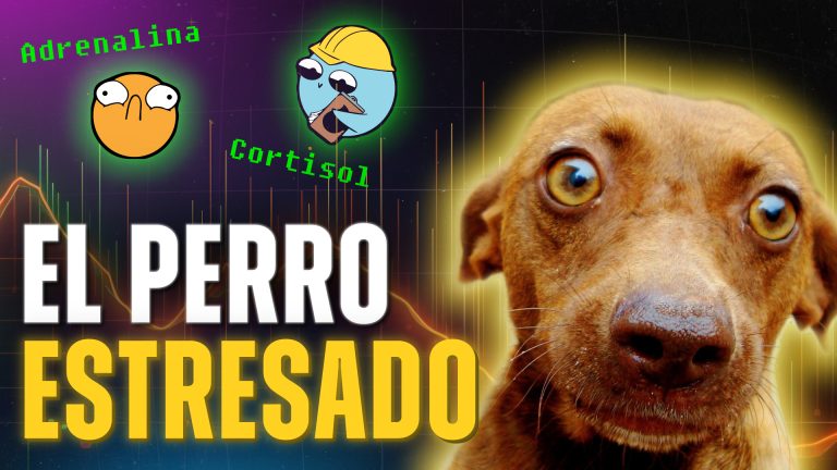 Estrés en perros