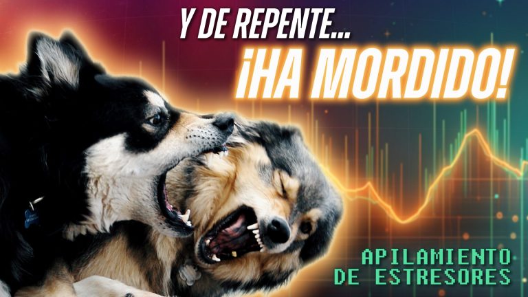 PORQUE un perro se vuelve AGRESIVO de REPENTE [estrés 2ª parte]