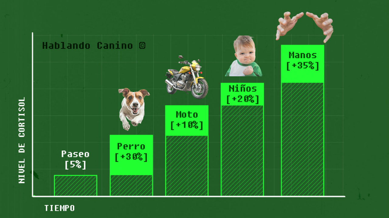Porque un perro se vuelve agresivo de repente apilamiento