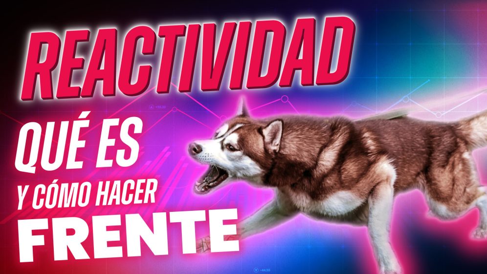 El perro reactivo