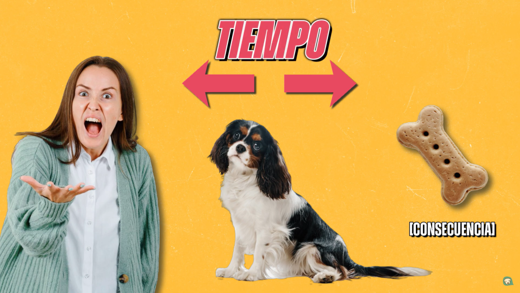 espacio tiempo